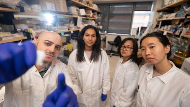 皇冠hga025大学洛杉矶分校正在培养下一代年轻的癌症研究人员